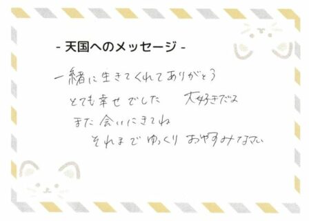 S くんへのメッセージ