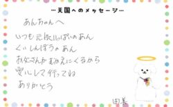 杏ちゃんへのメッセージ