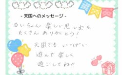 塁くんへのメッセージ