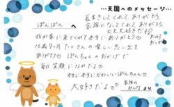 ぽんぽんちゃんへのメッセージ