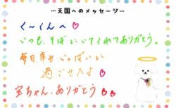 K くんへのメッセージ