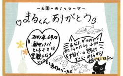 まるくんへのメッセージ