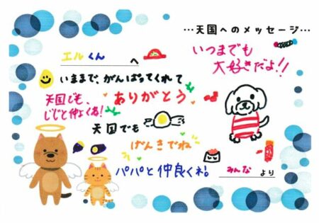 エルくんへのメッセージ