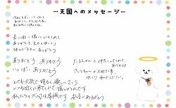 さくらちゃんへのメッセージ