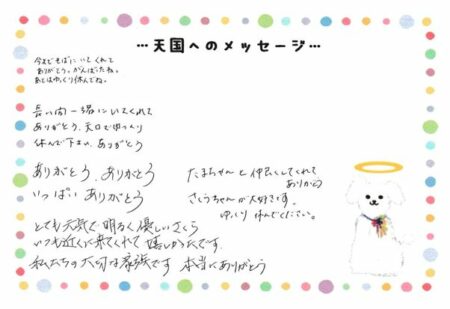 さくらちゃんへのメッセージ