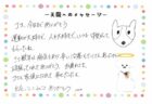 ココくんへのメッセージ