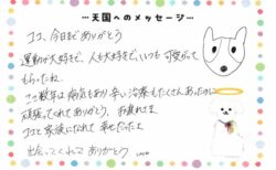 ココくんへのメッセージ