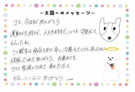 ココくんへのメッセージ