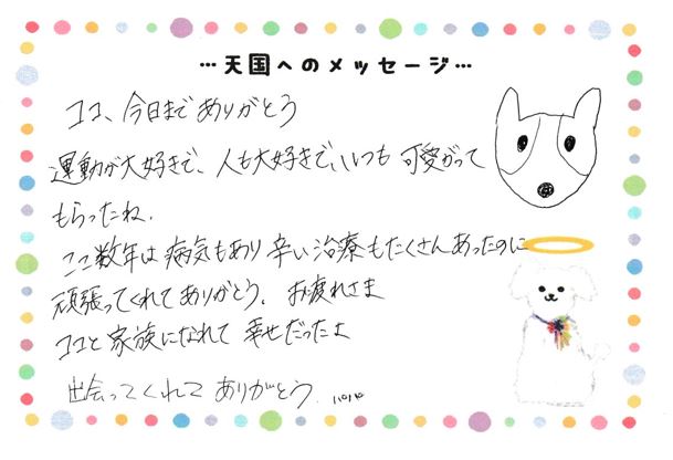 ココくんへのメッセージ