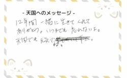 ごうくんへのメッセージ