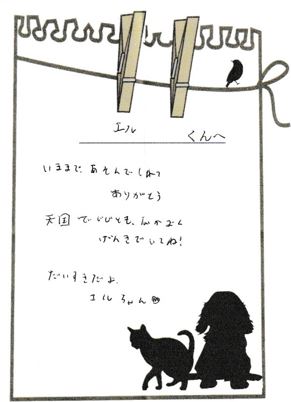 エルくんへのメッセージ