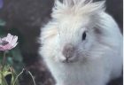 ちぃちゃんへのメッセージ