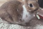 くうくんへのメッセージ