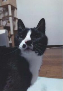 大郷町　中村様　クロくん