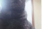くうくんへのメッセージ