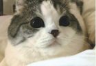 丸くんへのメッセージ