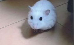 涌谷町　S 様　Y くん