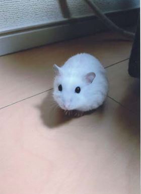 涌谷町　S 様　Y くん