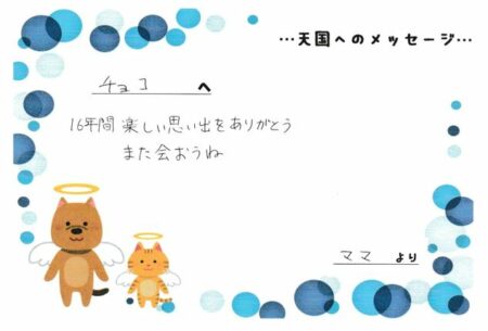 チョコくんへのメッセージ