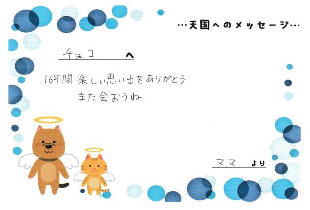 チョコくんへのメッセージ