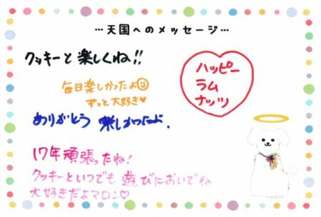 マロンちゃんへのメッセージ