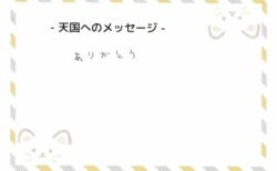 クロくんへのメッセージ