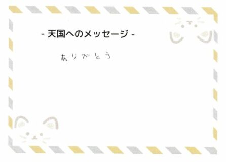 クロくんへのメッセージ