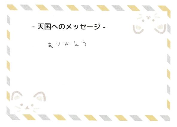 クロくんへのメッセージ