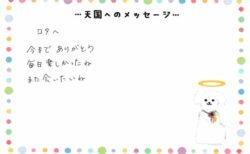 ロタちゃんへのメッセージ
