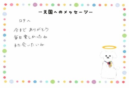 ロタちゃんへのメッセージ
