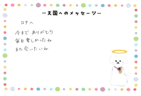 ロタちゃんへのメッセージ