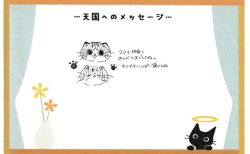 丸くんへのメッセージ