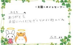 おもちちゃんへのメッセージ