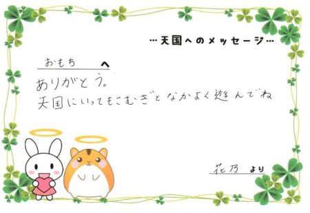 おもちちゃんへのメッセージ